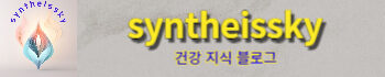 snythesissky의 블로그