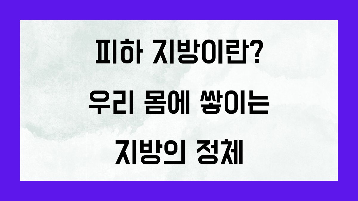 피하지방이란? 우리 몸에 쌓이는 지방의 정체